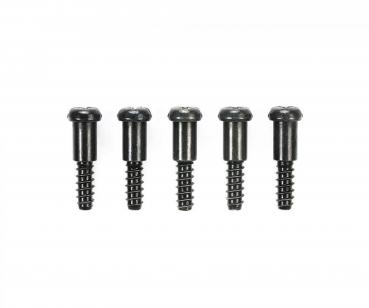 Pass-Schrauben 3x14 mm (5)