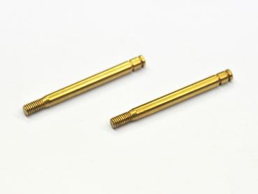 Kolbenstangen Ti-Ni lang für RCC-Dämpfer (2)