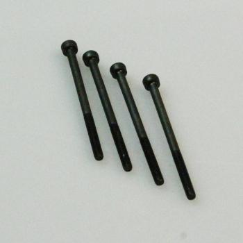 Schraube M3x50 (4)