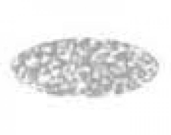 Pactra-Lack RC69 Met.FlakeSilver 20ml