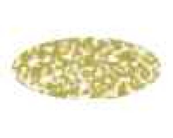 Pactra-Lack RC70 Met.Flake Gold 20ml